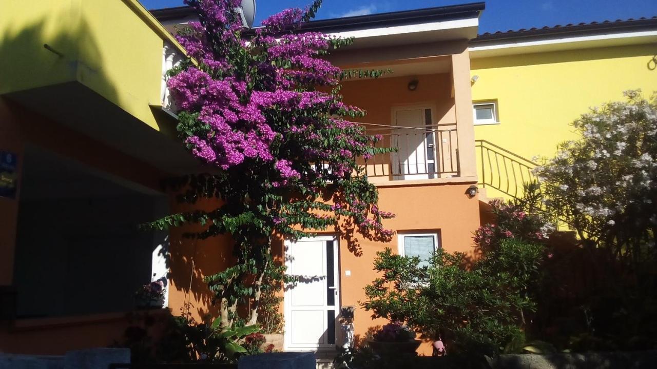 Apartments Mirjana Petrčane Dış mekan fotoğraf