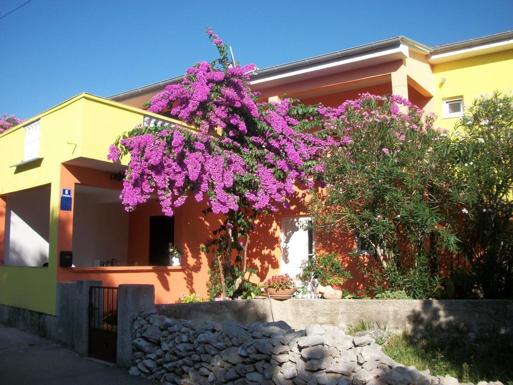 Apartments Mirjana Petrčane Dış mekan fotoğraf