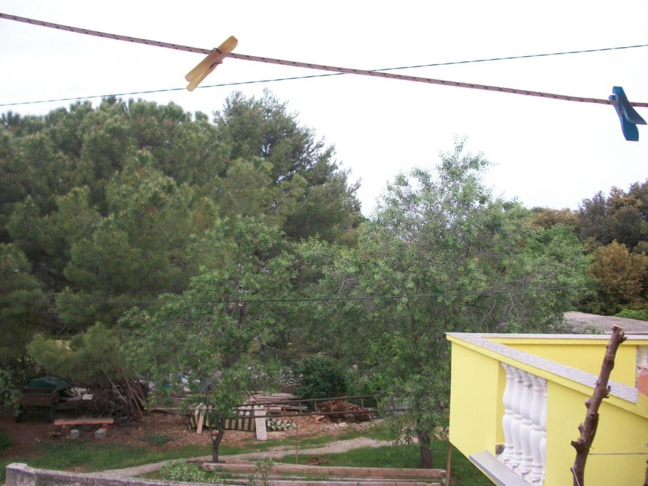 Apartments Mirjana Petrčane Dış mekan fotoğraf