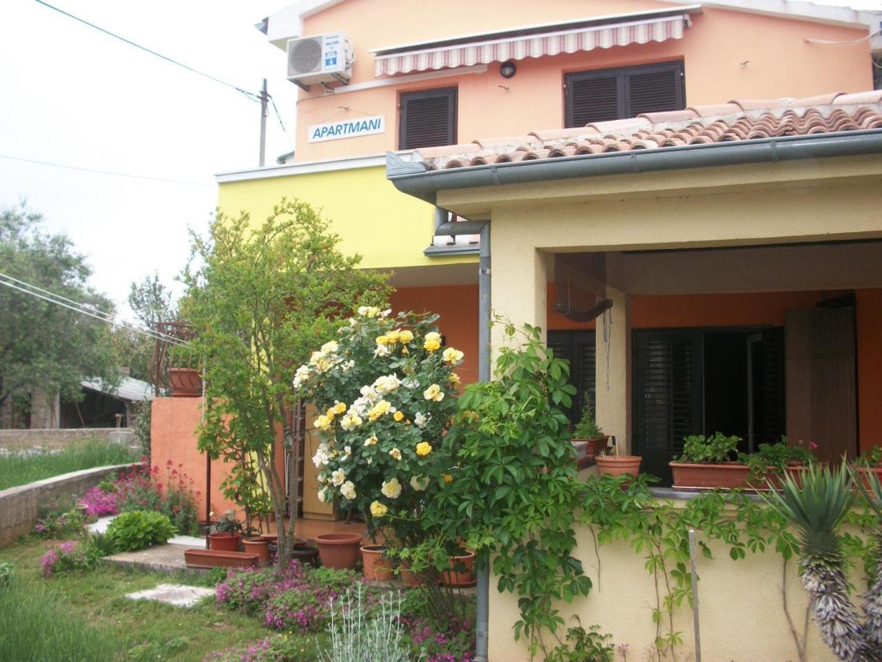 Apartments Mirjana Petrčane Dış mekan fotoğraf