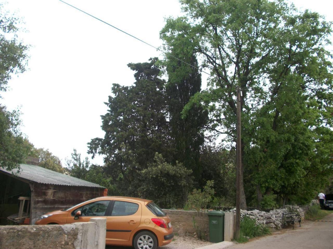 Apartments Mirjana Petrčane Dış mekan fotoğraf