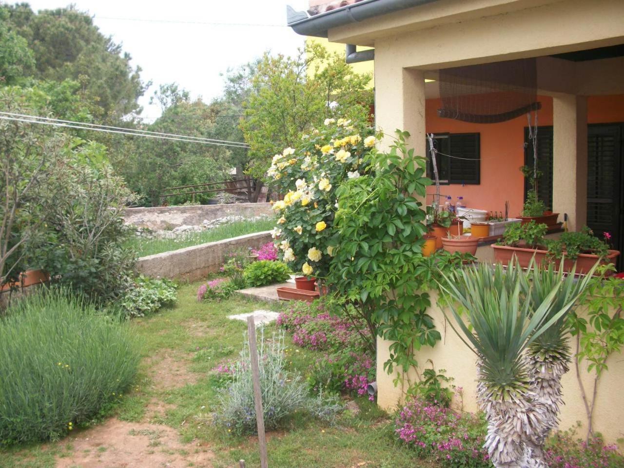 Apartments Mirjana Petrčane Dış mekan fotoğraf