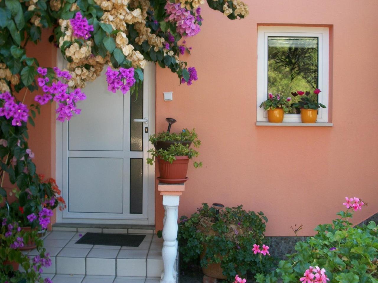 Apartments Mirjana Petrčane Dış mekan fotoğraf