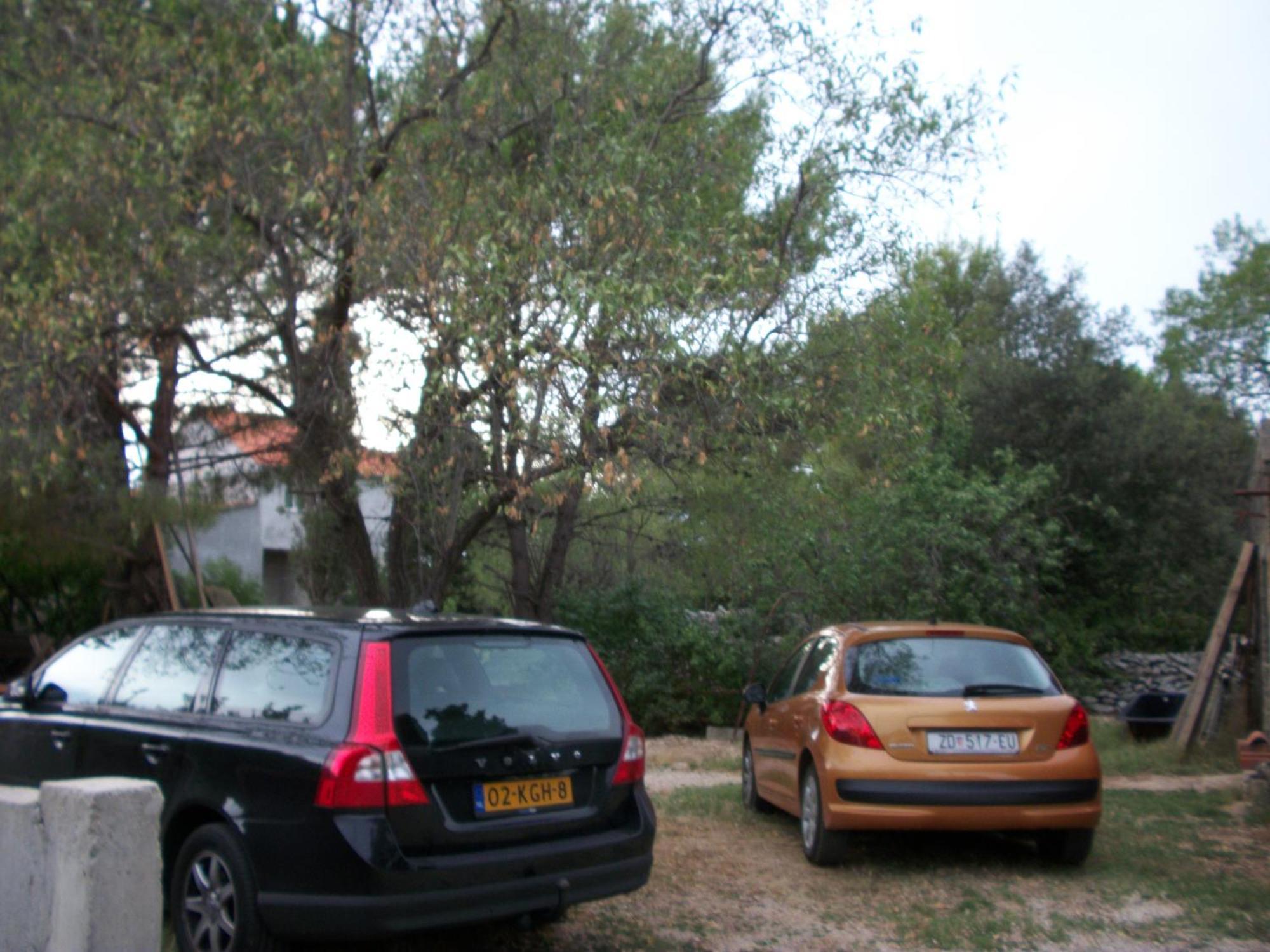 Apartments Mirjana Petrčane Dış mekan fotoğraf