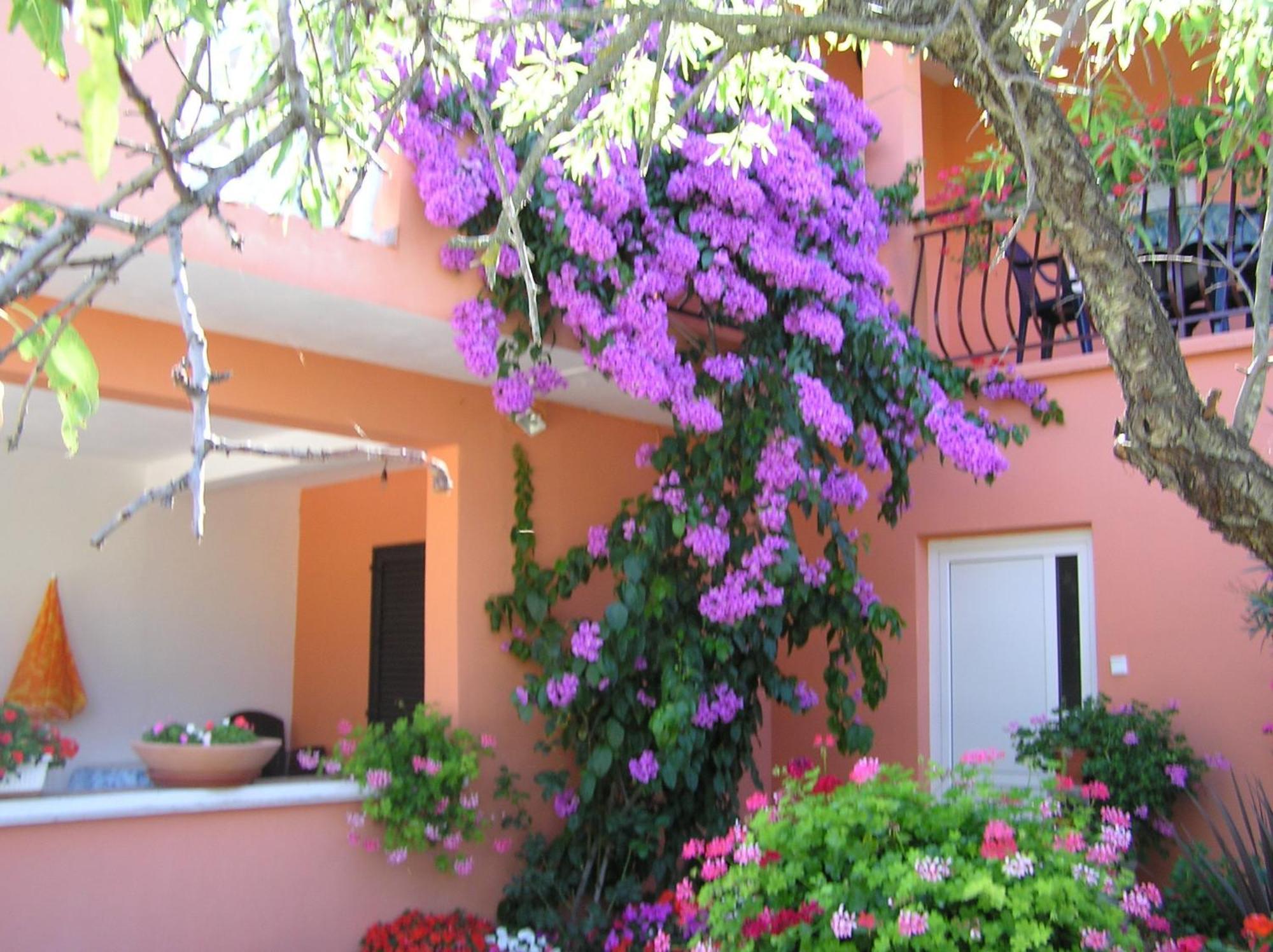 Apartments Mirjana Petrčane Dış mekan fotoğraf