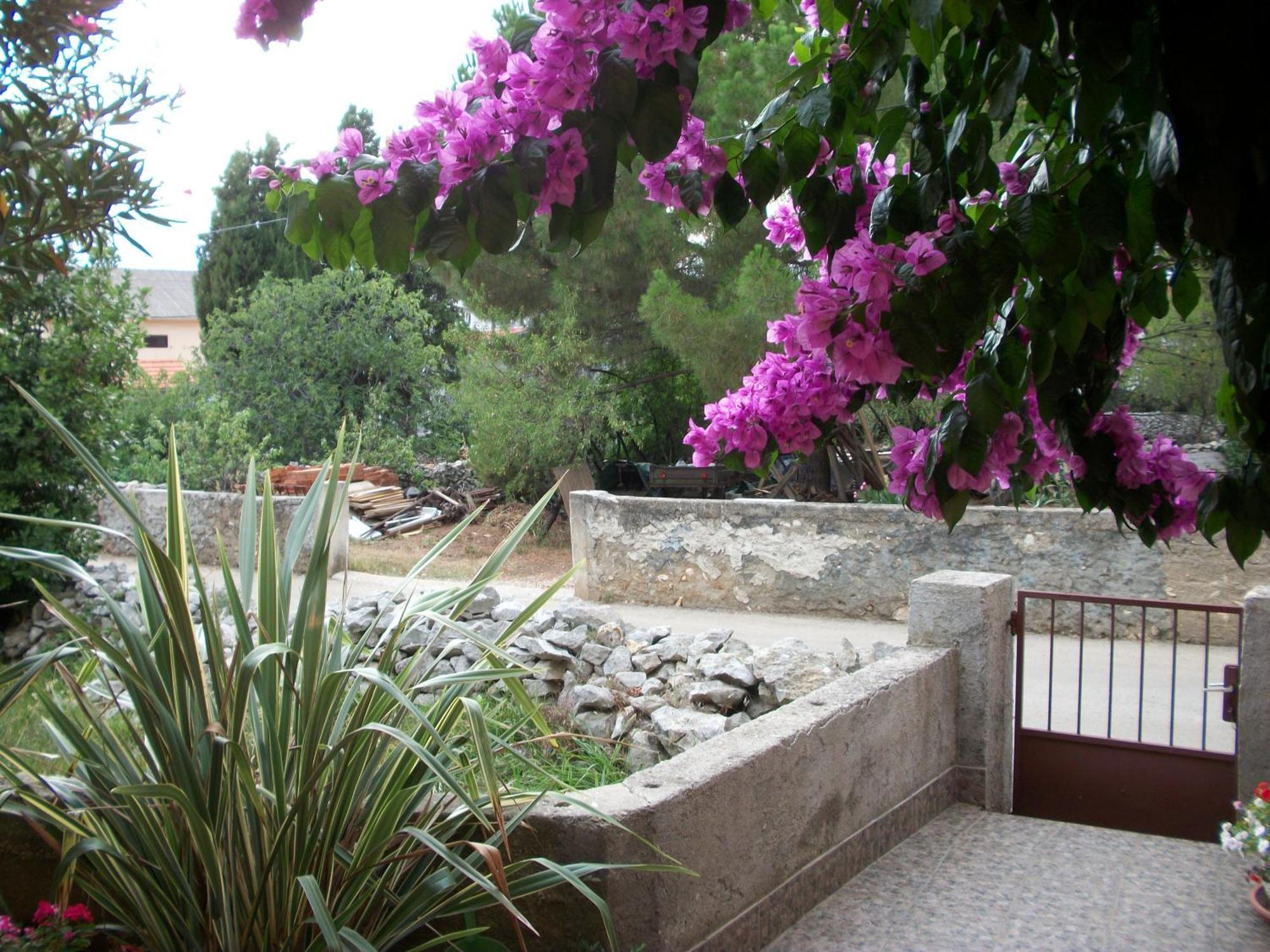 Apartments Mirjana Petrčane Dış mekan fotoğraf