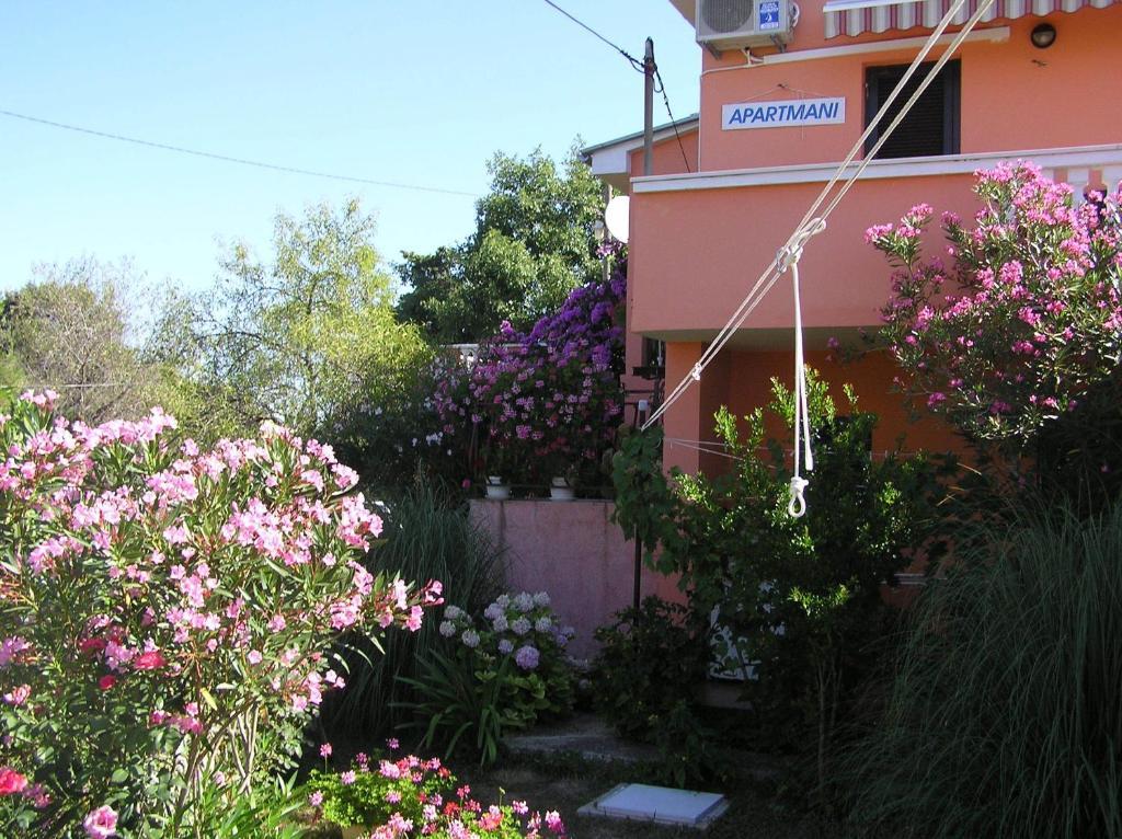 Apartments Mirjana Petrčane Dış mekan fotoğraf