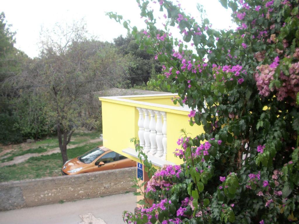 Apartments Mirjana Petrčane Dış mekan fotoğraf