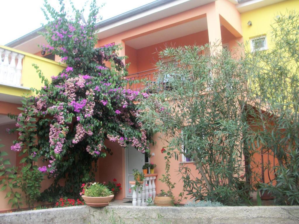 Apartments Mirjana Petrčane Dış mekan fotoğraf
