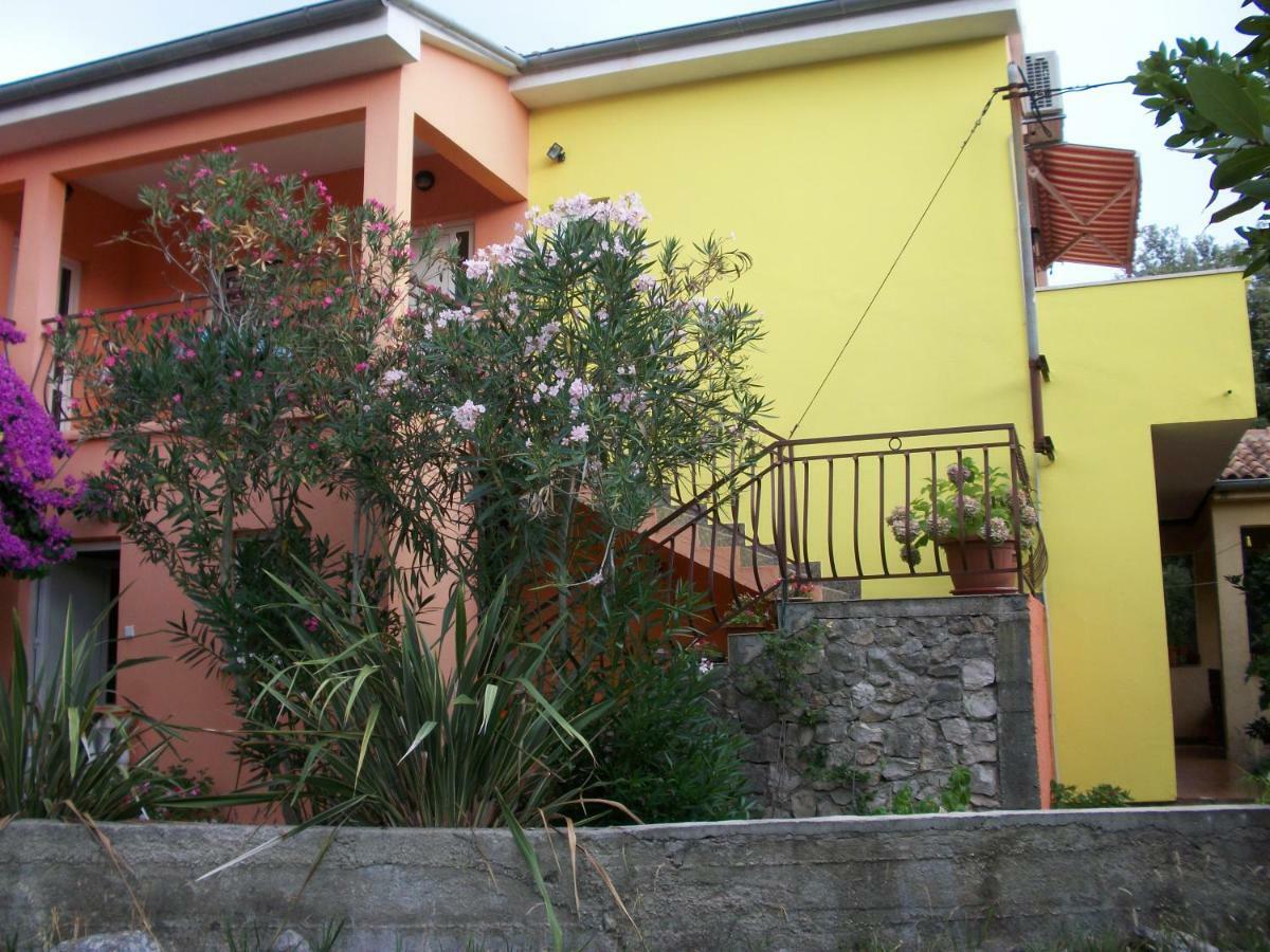 Apartments Mirjana Petrčane Dış mekan fotoğraf