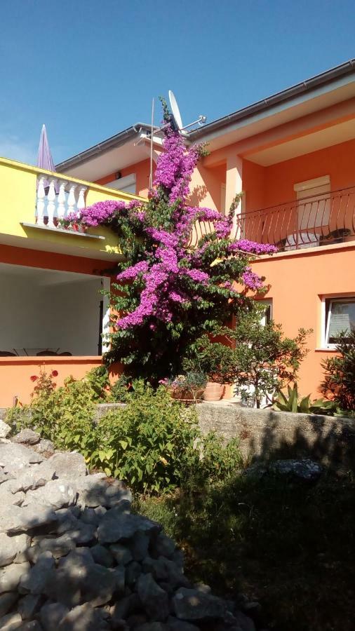 Apartments Mirjana Petrčane Dış mekan fotoğraf
